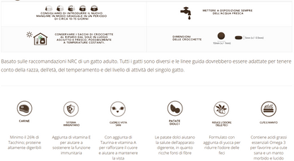 Adult Gatto Grain Free con Tacchino