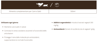 Linseaoil ricetta n°3 100% Vegan